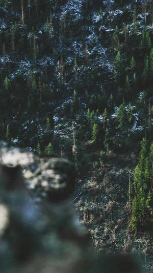 东莞seo网络优化工具截图4