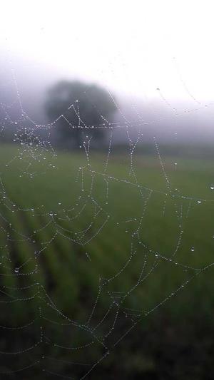 seo排名工具y上海百首网络截图1