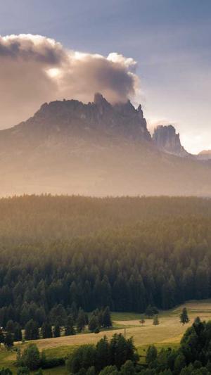 买个蜘蛛池截图1