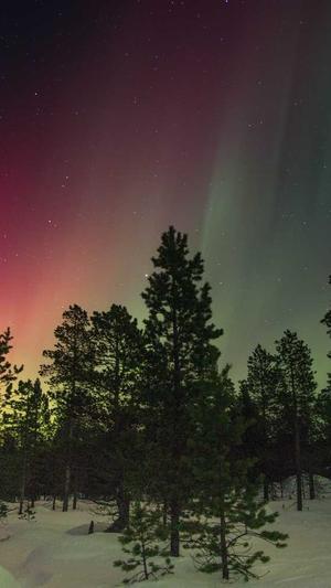 青岛seo排名优化工具截图3