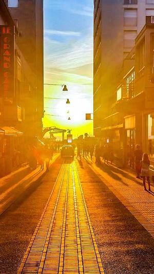 小熊猫蜘蛛池截图2