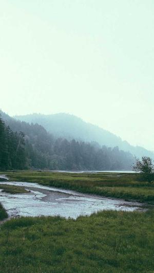 seo优化学习截图1