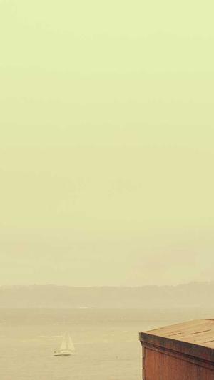 郑州seo推广截图2