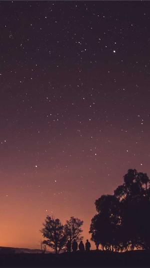 泊君seo工具截图4