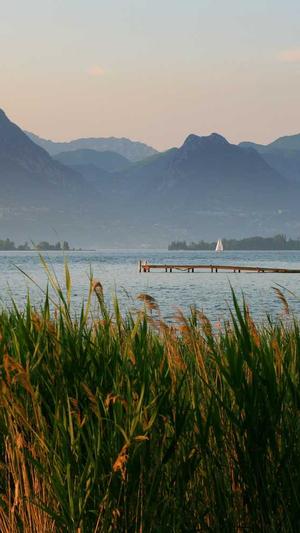 合肥吉尔seo截图4