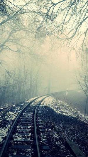 寄生虫蜘蛛池搭建方案截图1