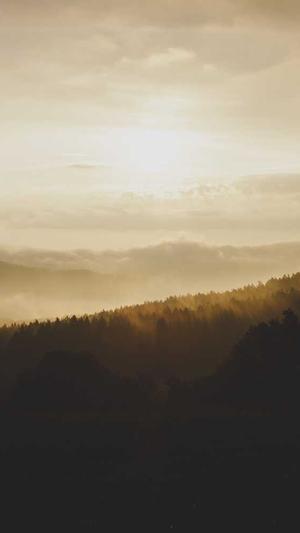 便宜网站建设截图4