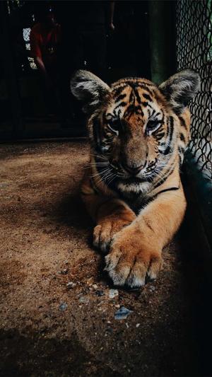 泛目录系统截图3