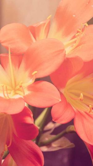 蜘蛛池程序开发晕啊截图5