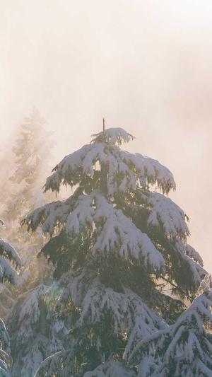 成都市网站建设截图2
