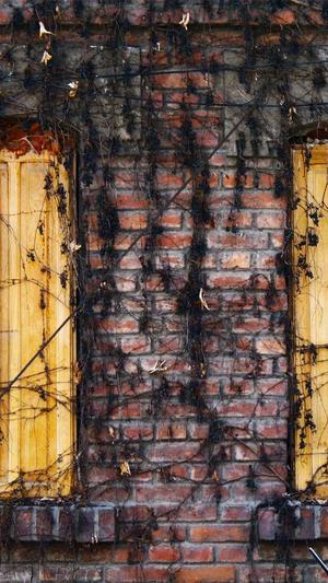 上海网站建设设计截图3