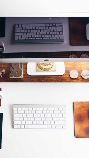 蜘蛛池需要多少个域名截图3