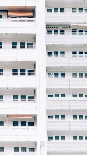 泛目录为什么收录那么多截图3