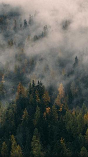 排名seo工具截图1