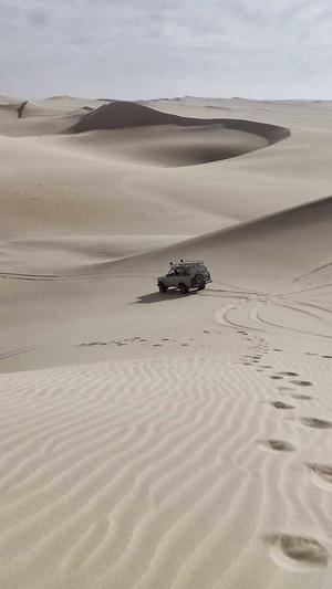 成都营销网站建设截图2