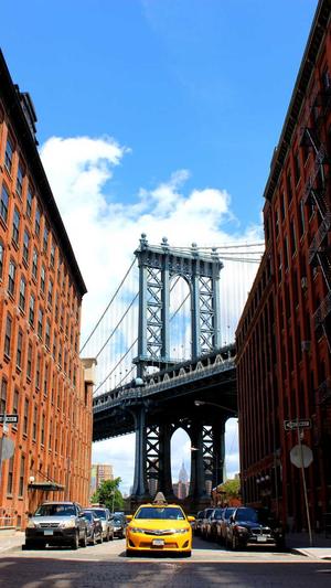 seo专业测评工具截图1