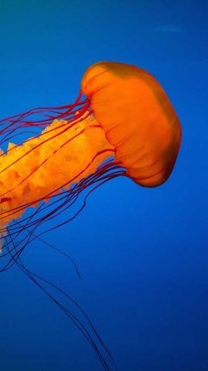 天津工程建设信息网站截图2