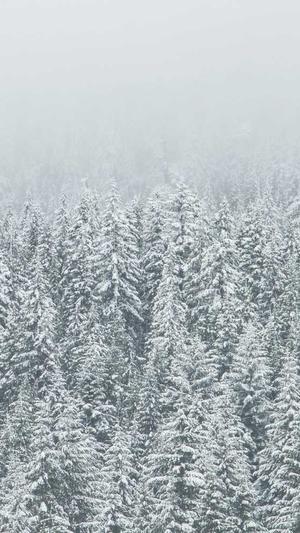 哪里建设网站截图3