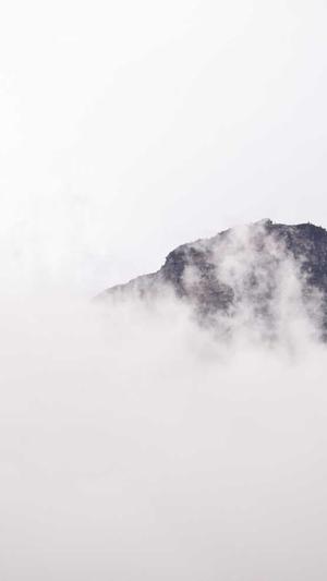 泛目录程序养站截图1