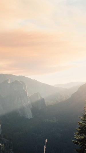 超级蜘蛛池seo截图2