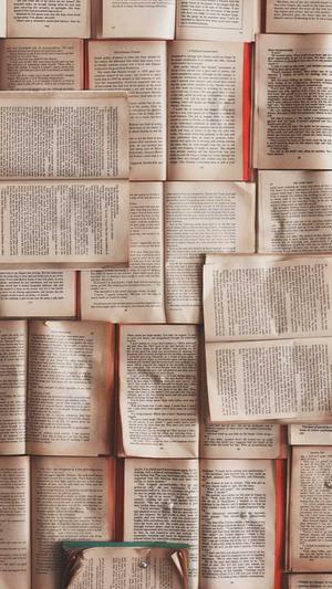 长沙seo顾问截图1