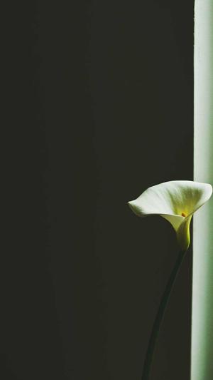 安徽seo工具截图2