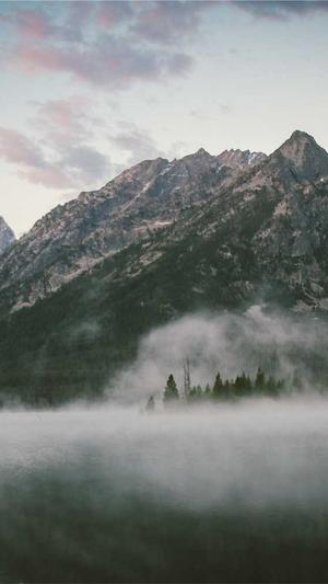 安徽seo工具截图3