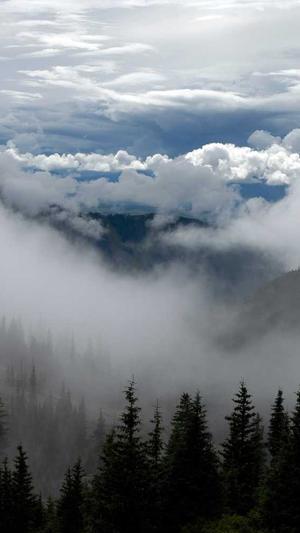 seo排名工具哪家好截图2