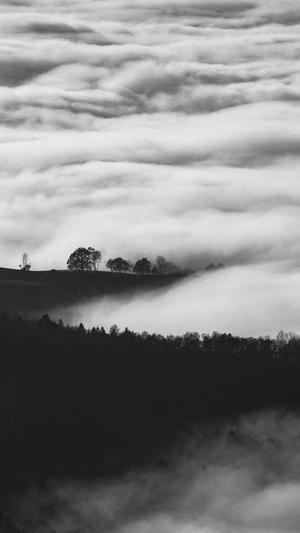 济宁网站建设截图1