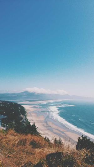 蜘蛛池模板截图5